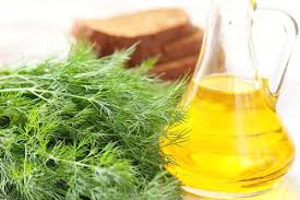 Dill Oil Uses and Benefits Blog